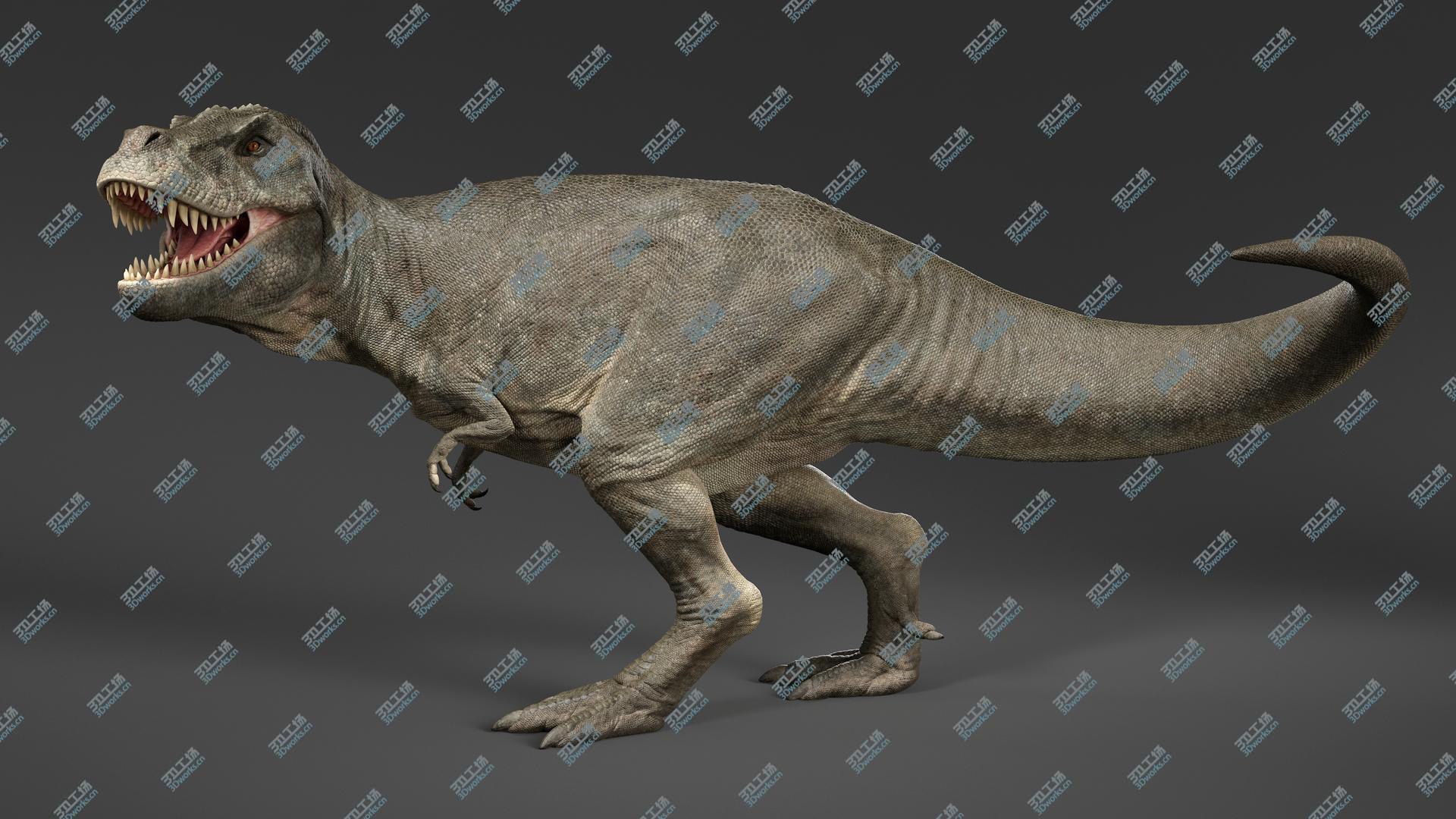 images/goods_img/20210319/3D Tyrannosaurus Rex Rigged/2.jpg
